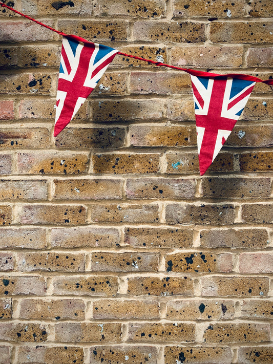 British Bunting by Edson Rosas