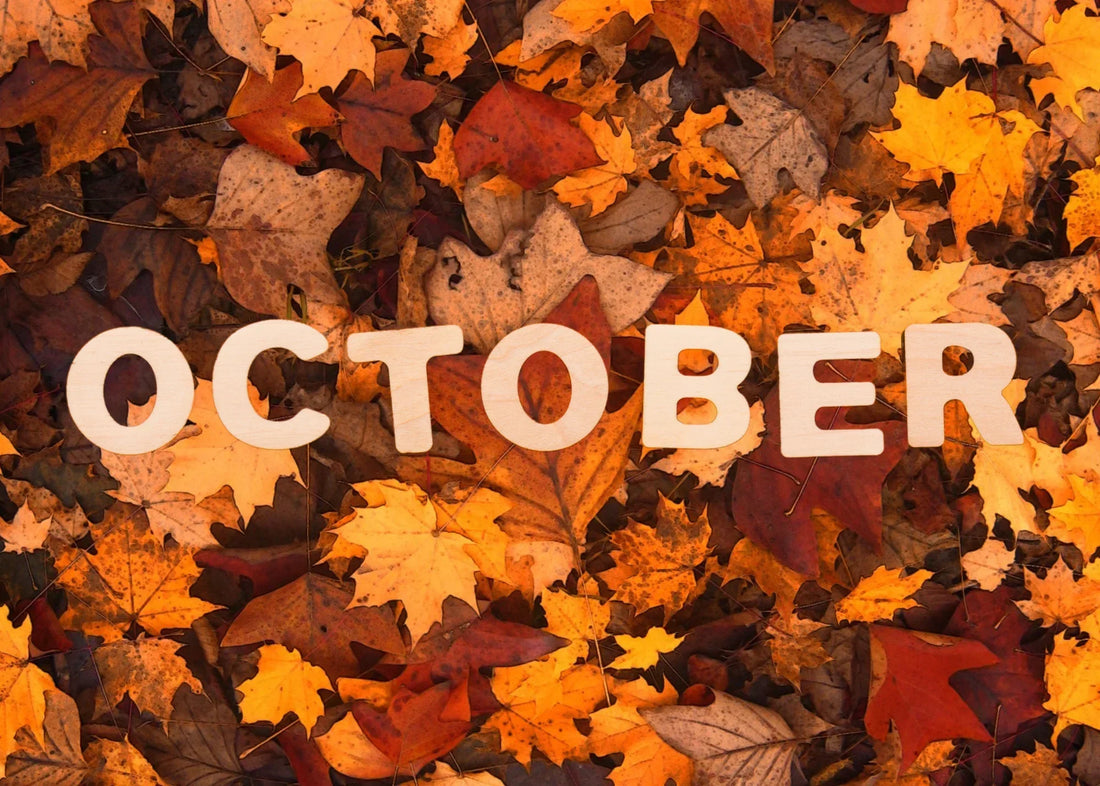 This Month In Music - October - New Releases