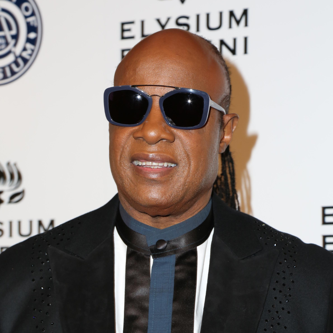 Stevie Wonder by Kathy Hutchins