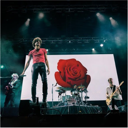 The Kooks Live - photo courtesy of SJM Concerts