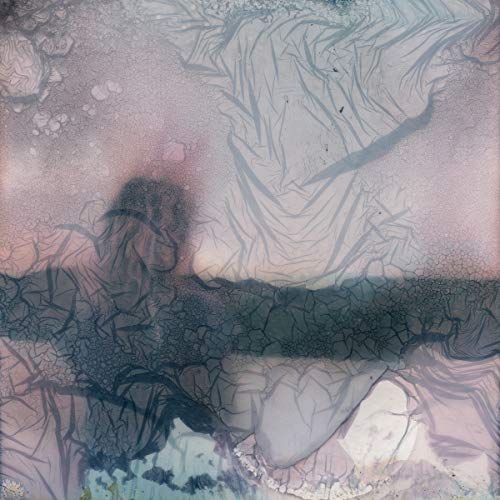 The image depicts an abstract vinyl record cover with muted colors and textured design elements.