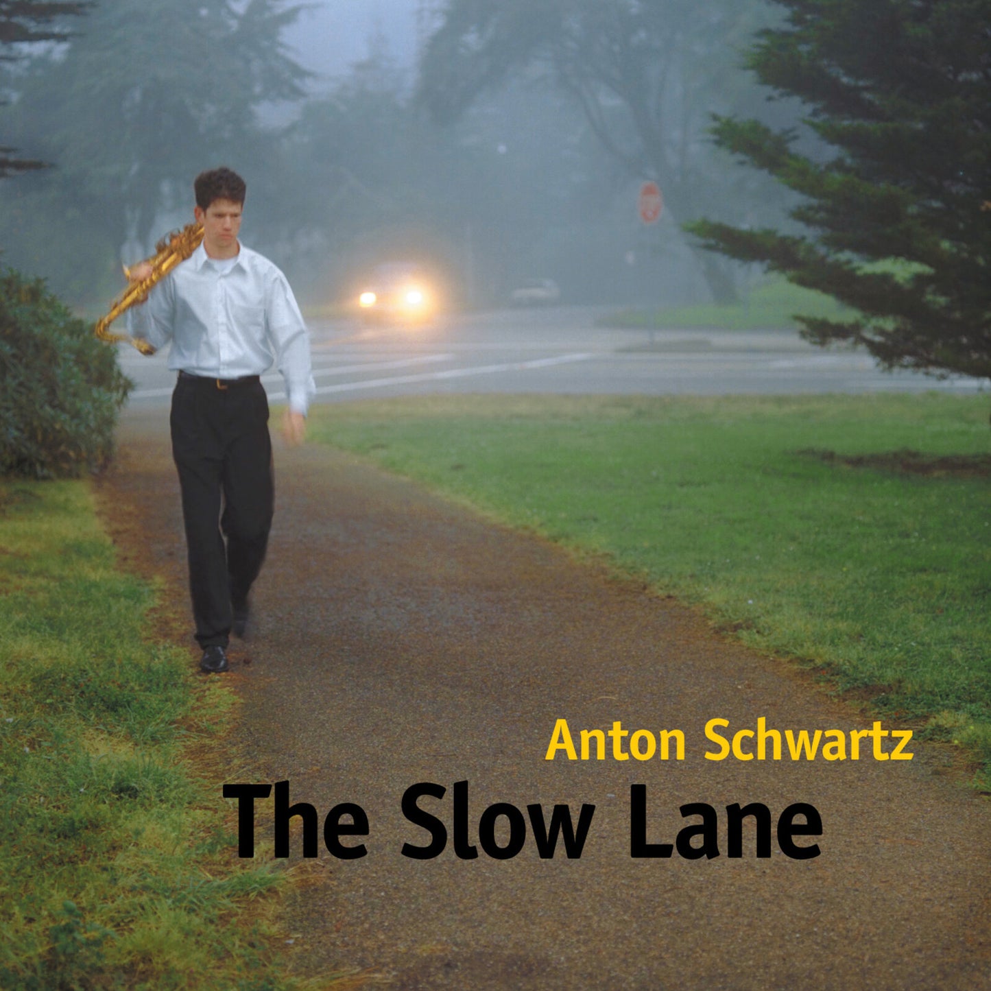 SCHWARTZ/NAGEL/SHIFFLETT - SCHWARTZ - THE SLOW LANE [CD]