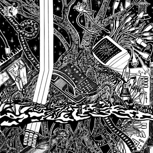 WULLIMAN/JACK QUARTET - WULLIMAN - ESCAPE RITES [CD]