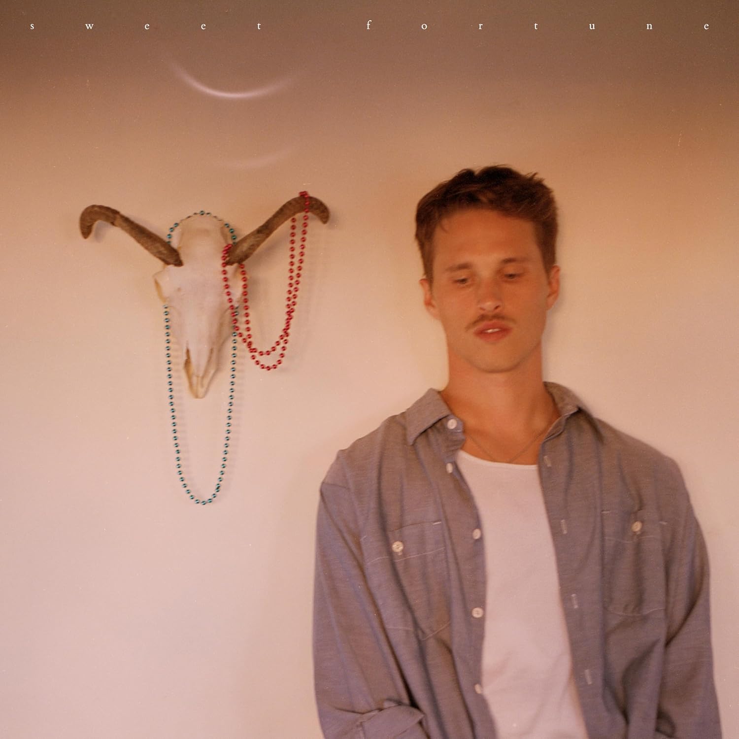 Ryan Beatty Sweet Fortune CD with cover art showing a man and animal skull.