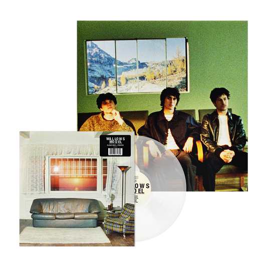 Wallows - Model [VINYL]