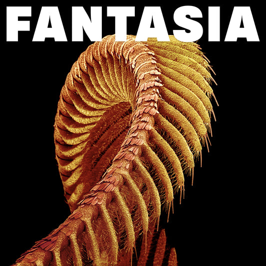 SLIFT - Fantasia (Sparkle Starlight LP) [VINYL]