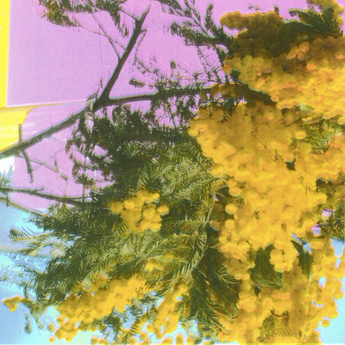 Four Tet - Into Dust (Still Falling) [VINYL]