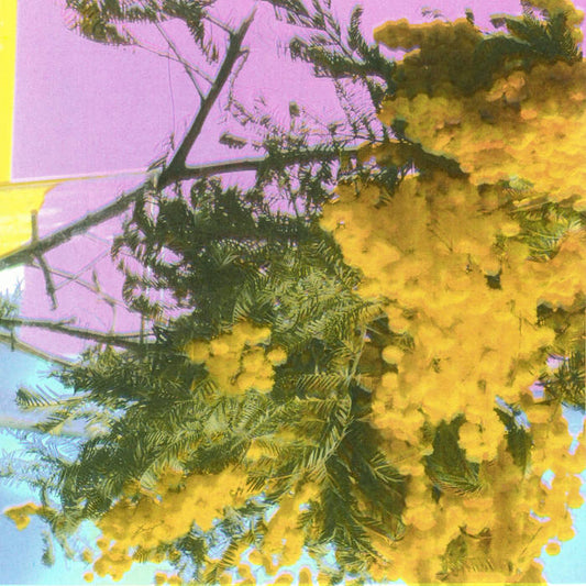 Four Tet - Into Dust (Still Falling) [VINYL]