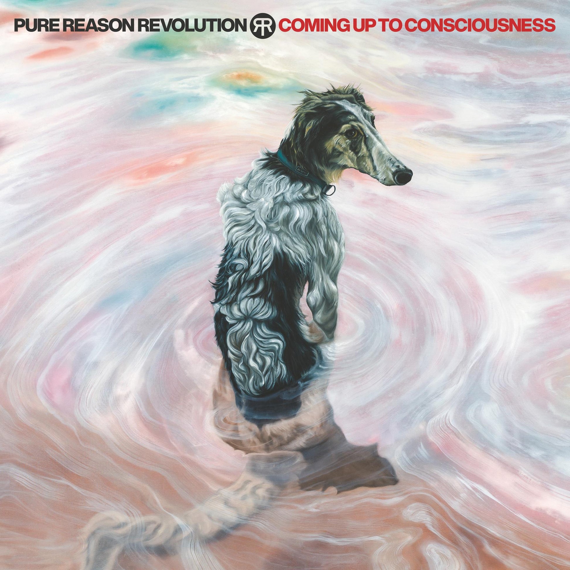 Album cover featuring a painted greyhound dog amidst swirling, colorful water.