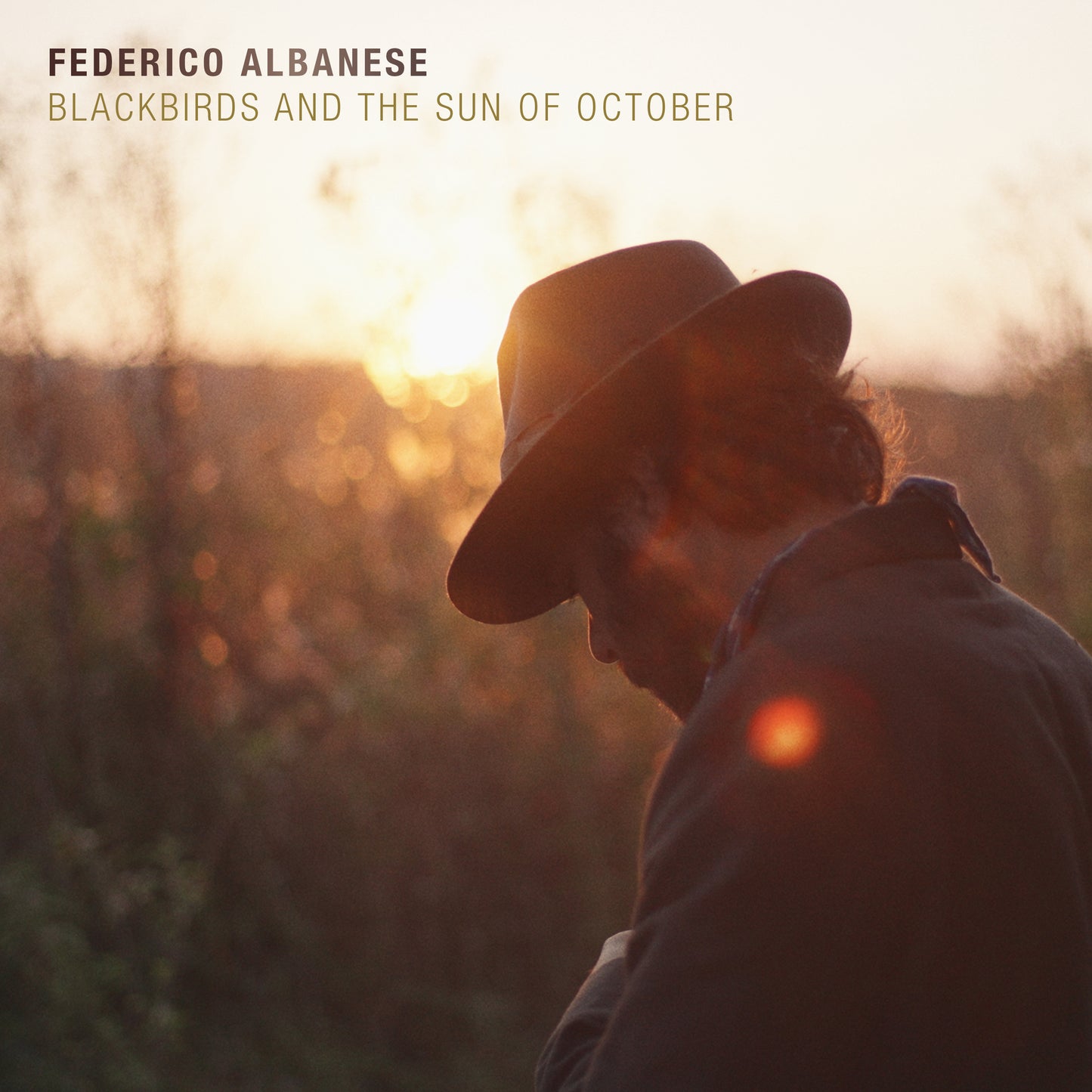 Federico Albanese - Blackbirds and the Sun of Oct... [VINYL]