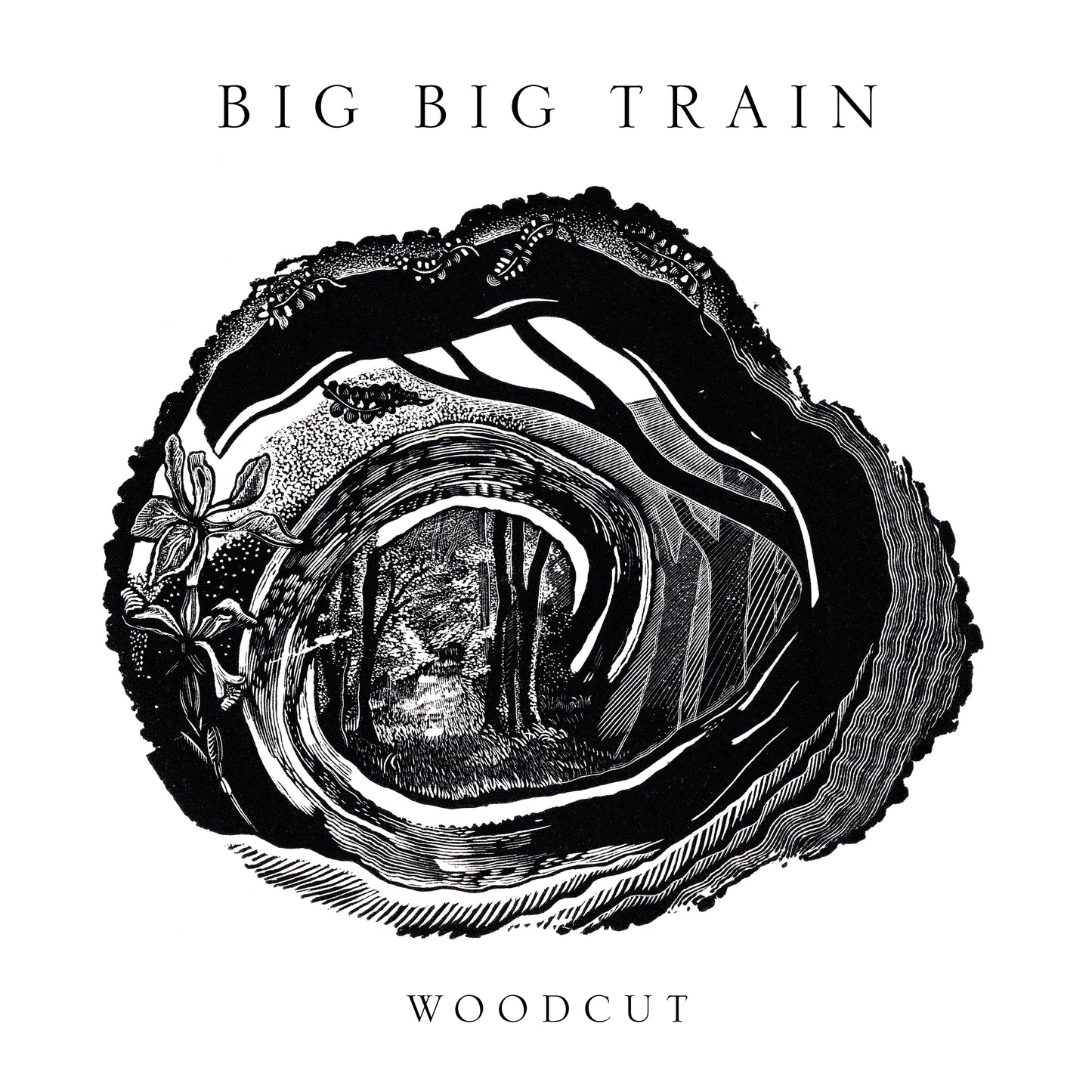 Big Big Train - Woodcut [VINYL]