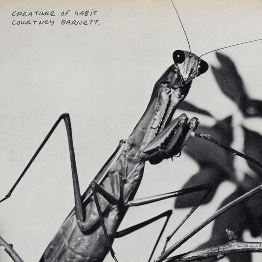 Courtney Barnett - Creature of Habit (Coloured LP) [VINYL]