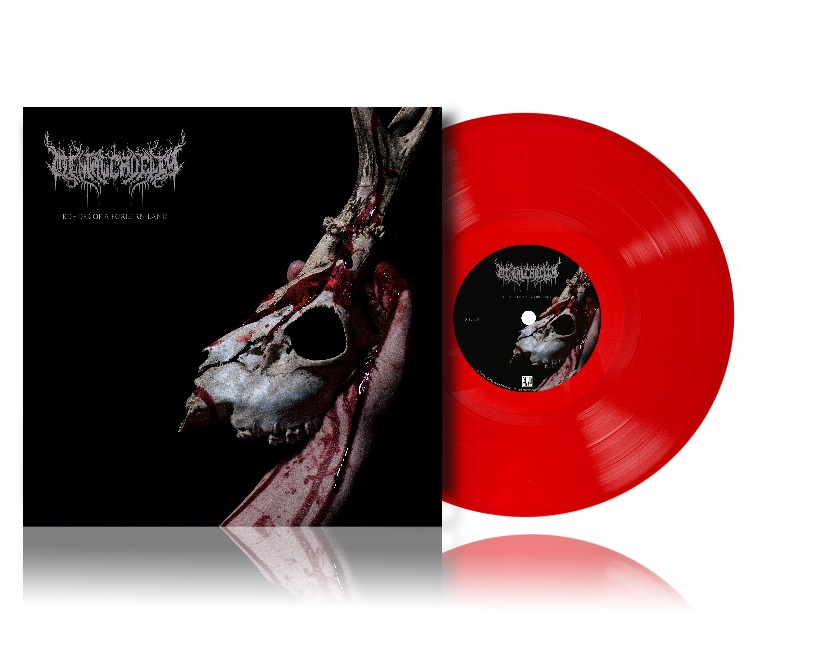 Mental Cruelty - Echoes of a Forlorn Land [VINYL]
