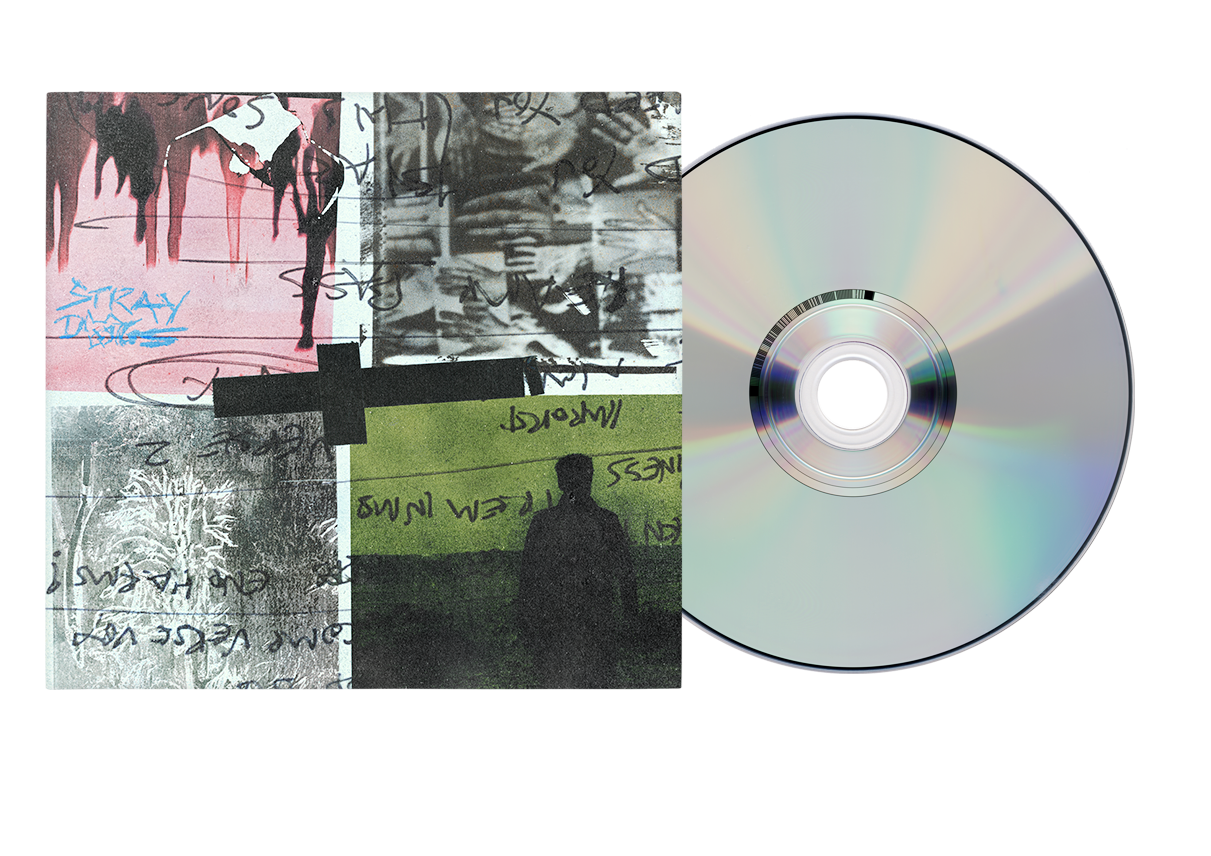 Nothing But Thieves - Stray Dogs [CD]