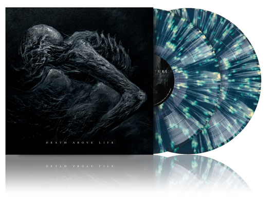 Vinyl record with a lion portrait and swirling, colorful grooves.