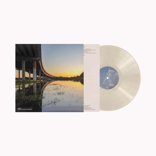 Jamie T "Ghosts" vinyl record with a landscape cover and blue record.