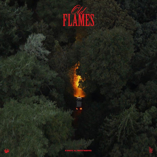 La Roux - Old Flame [VINYL]