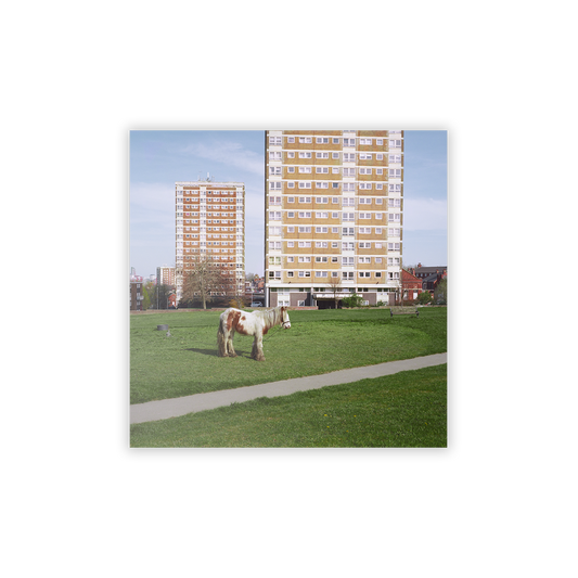 Westside Cowboy - It Goes On [CD]