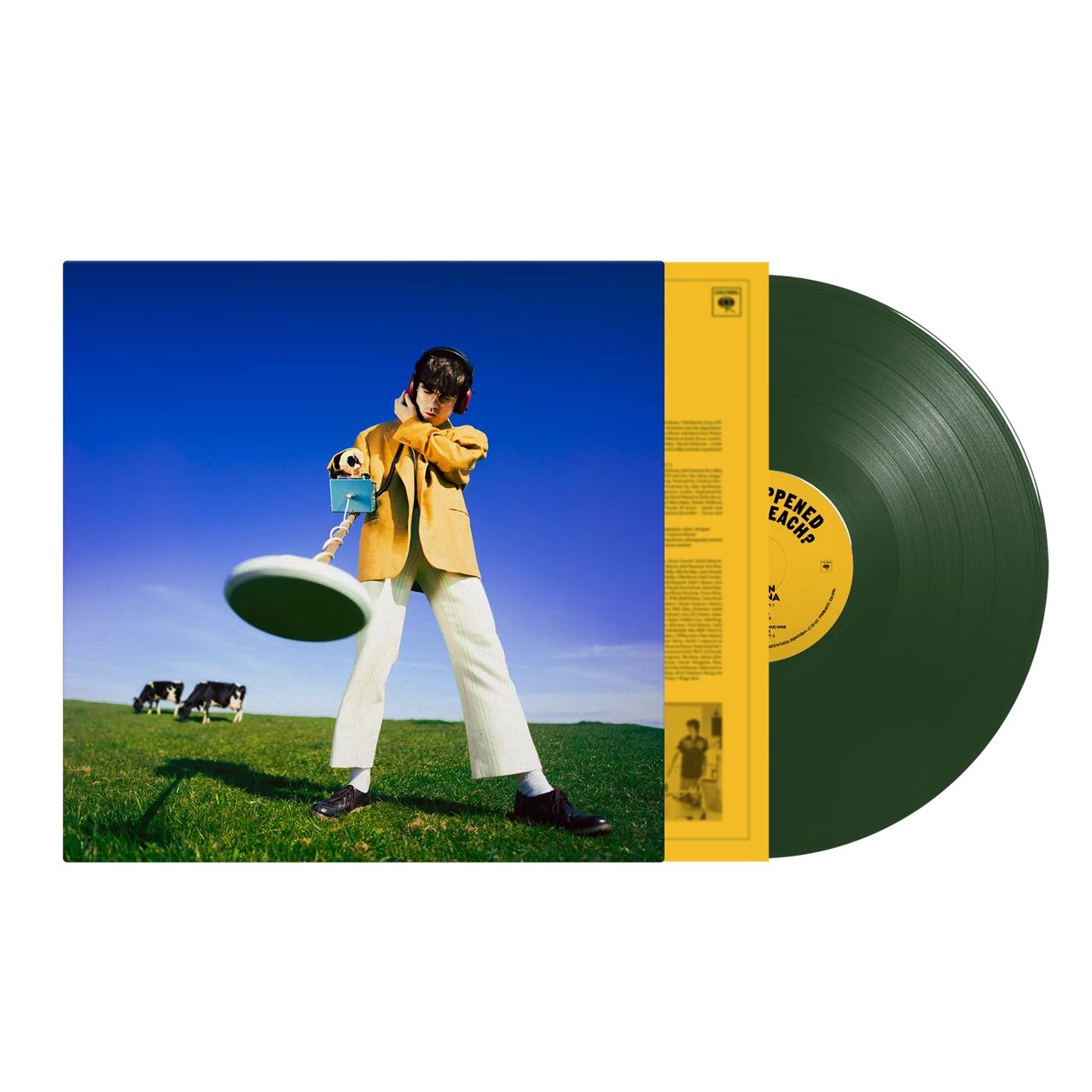 Declan McKenna - What Happened To The Beach? (Dark Green LP) [VINYL]