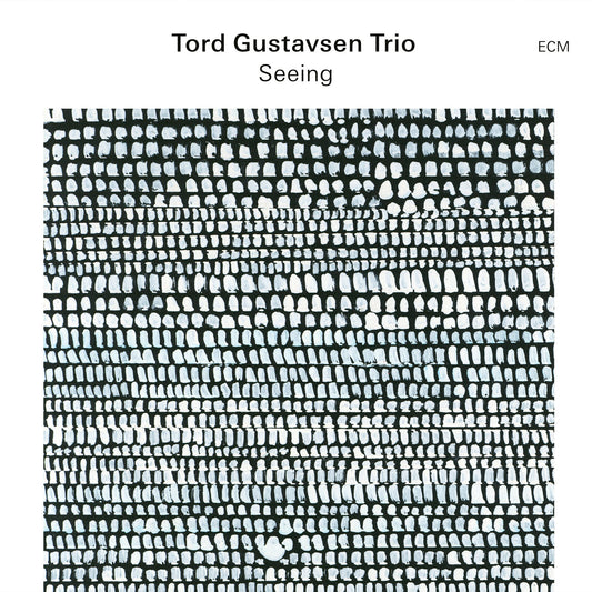 Tord Gustavsen Trio - Tord Gustavsen Trio - Tord Gustavsen Trio - Seeing [cd] [CD]