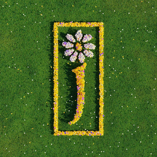 James - Nothing But Love  [VINYL] Pre-sale 21/11/2025