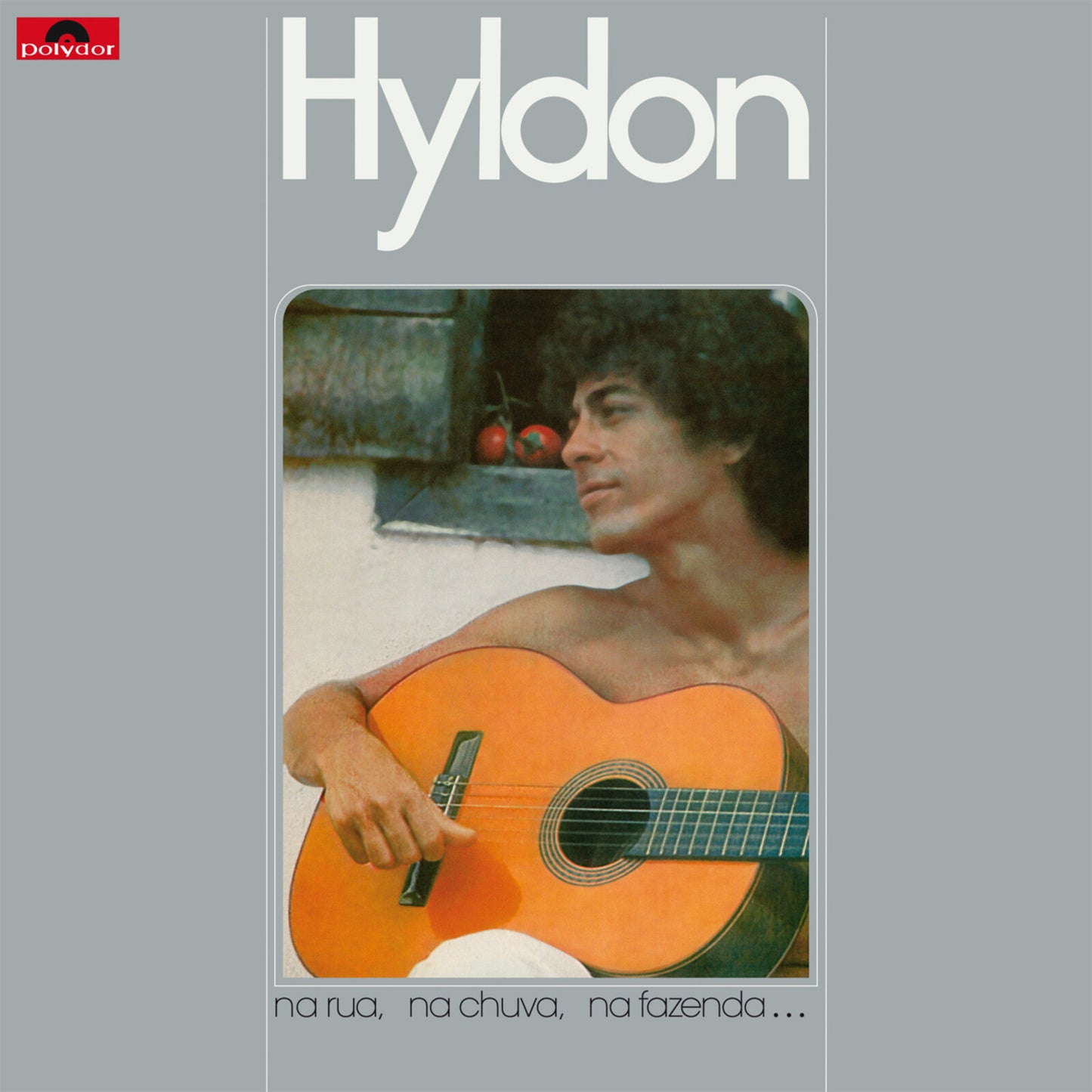 Hyldon - Na Rua Na Chuva Na Fazenda [VINYL]