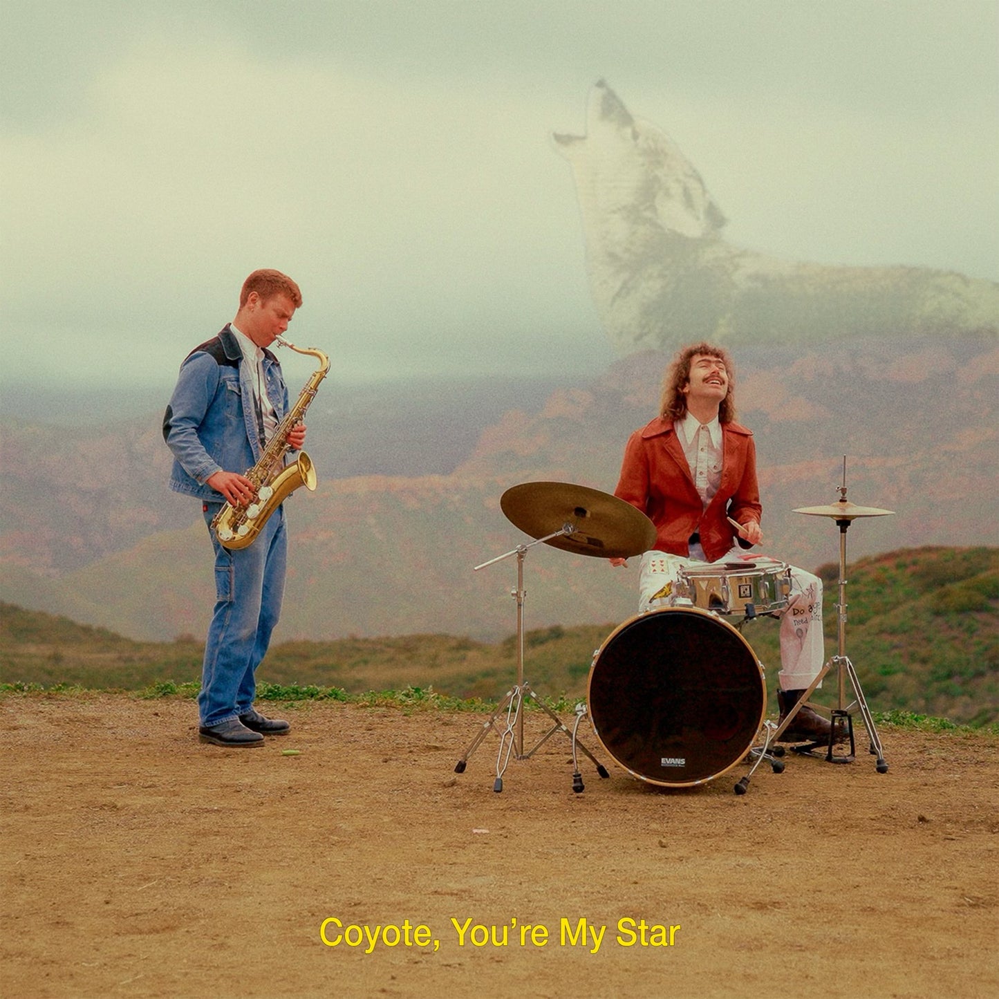 Dana & Aiden - Coyote, Youre My Star [CD]