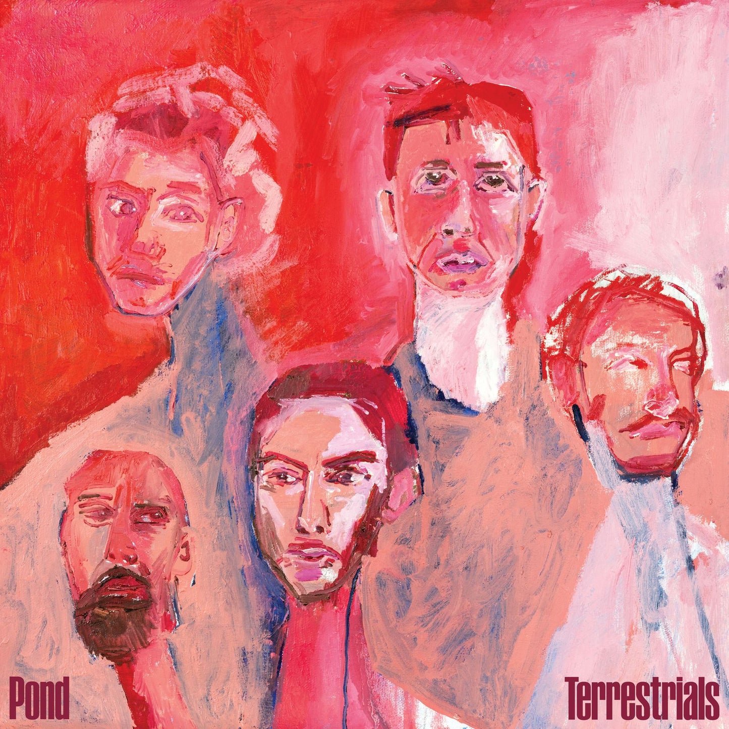Pond - Terrestrials [CD]