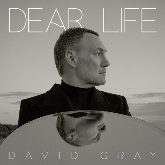 David Gray - Dear Life [VINYL]