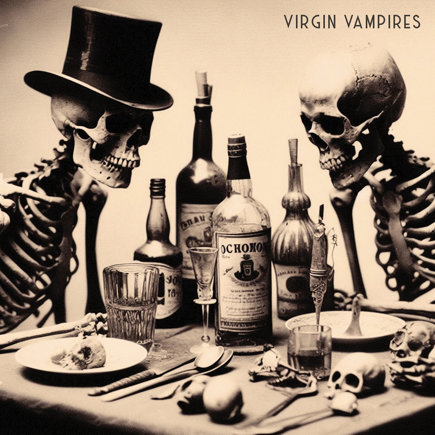 Virgin Vampires - Virgin Vampires - Virgin Vampires [cd] [CD]