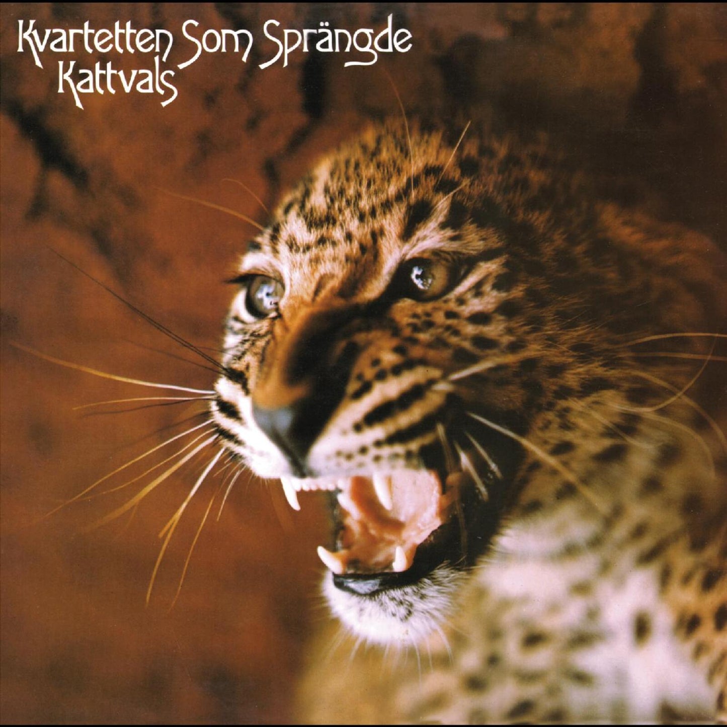 Kvartetten Som Sprangde - Kattvals (Deluxe Edition) (Psychedelic Splatter Vinyl) [VINYL]