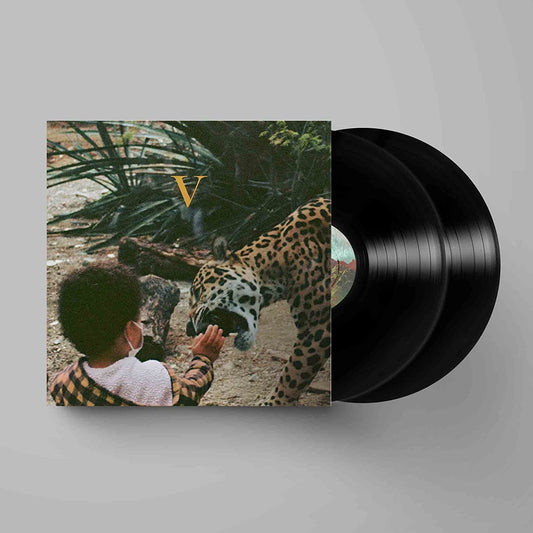 Unknown Mortal Orchestra - V 2LP [VINYL]