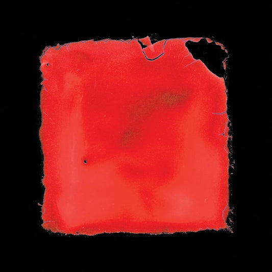 last chance to see [CD]