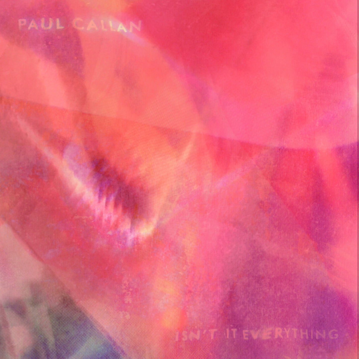 Paul Callan - Isnt It Everything [VINYL]