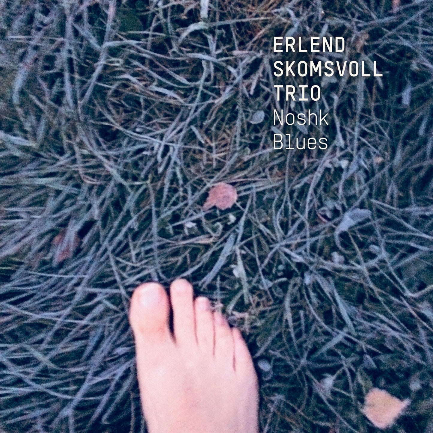 Erlend Skomsvoll Trio - Noshk Blues [CD]