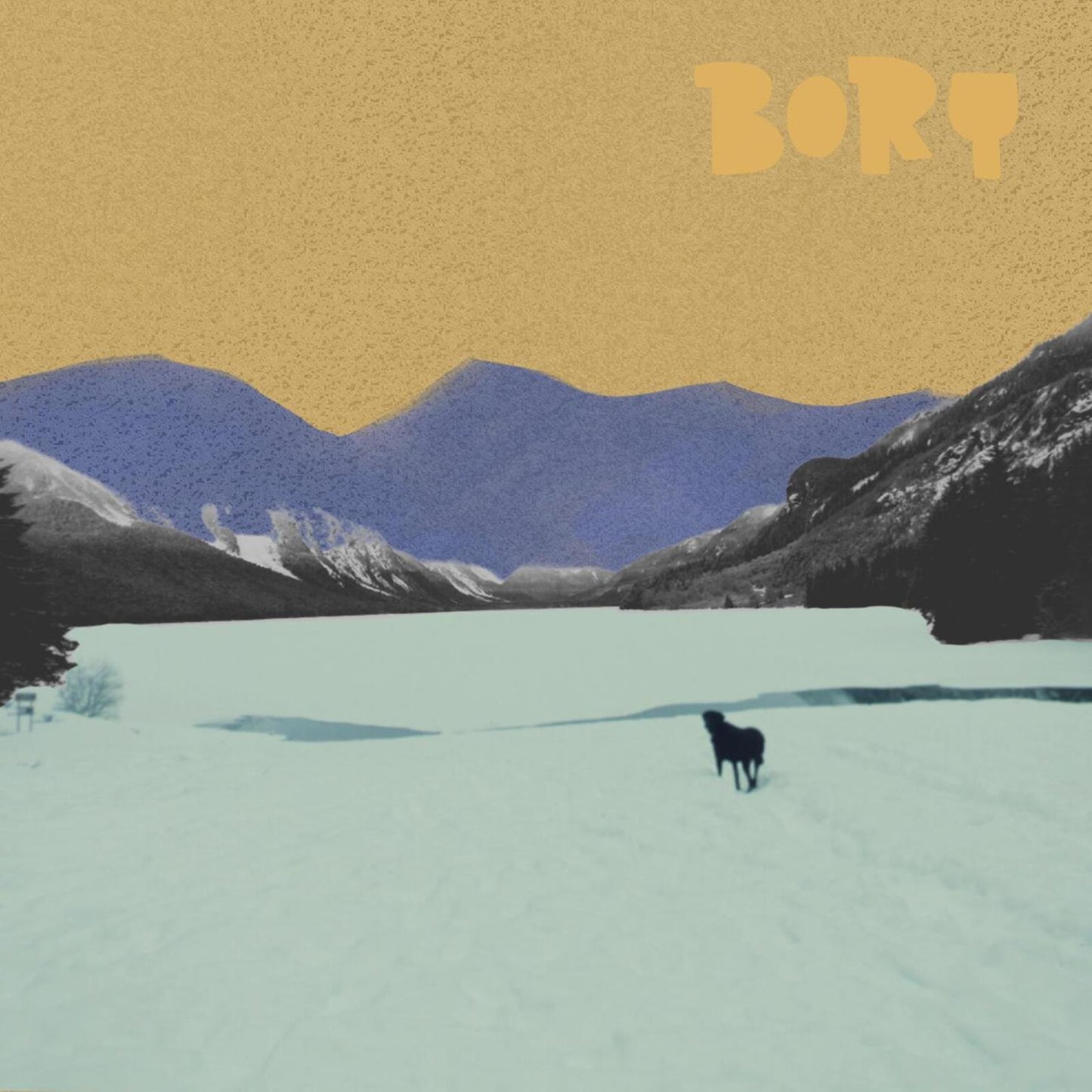 Bory - Whos A Good Boy [VINYL]