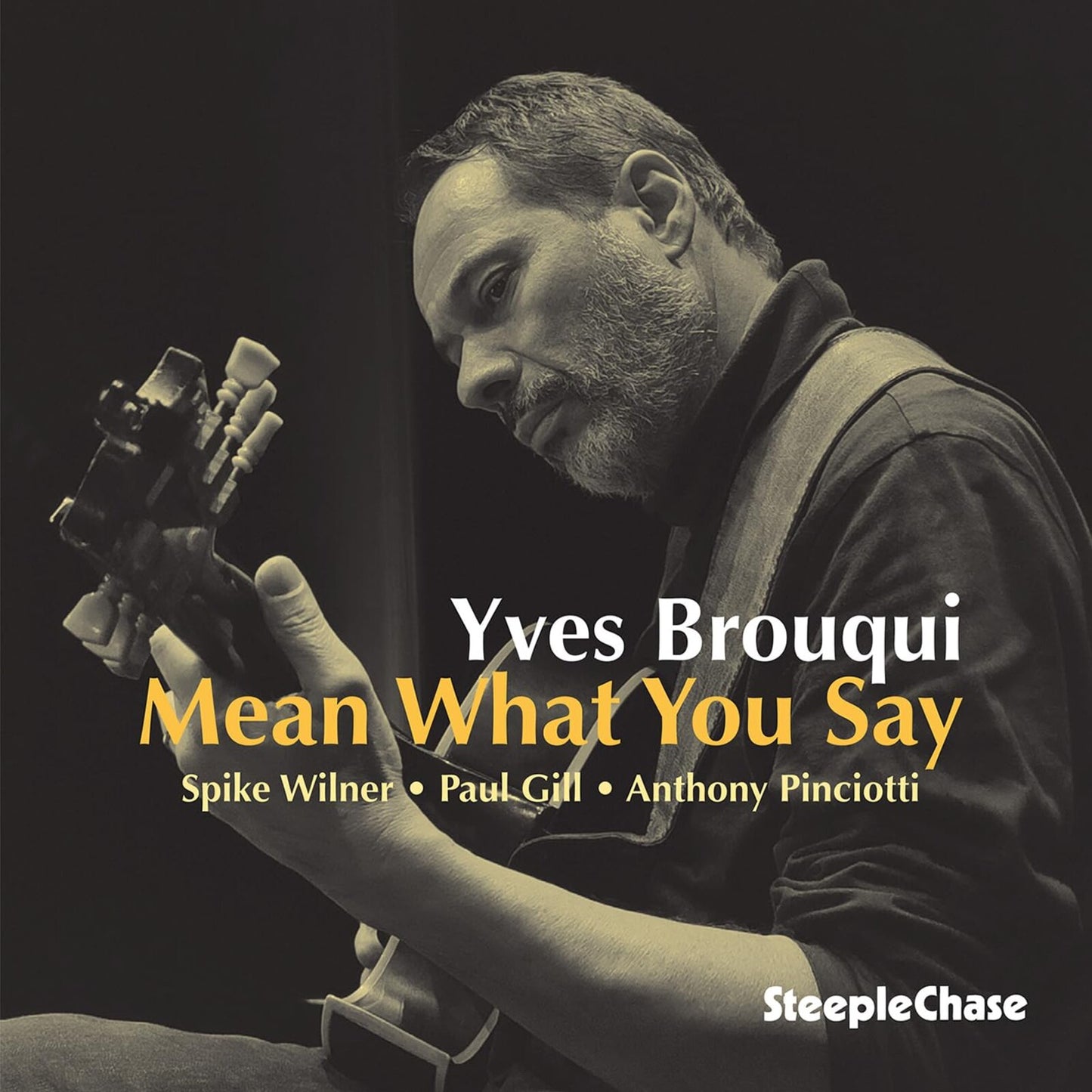 Yves Brouqui - Mean What You Say [CD]