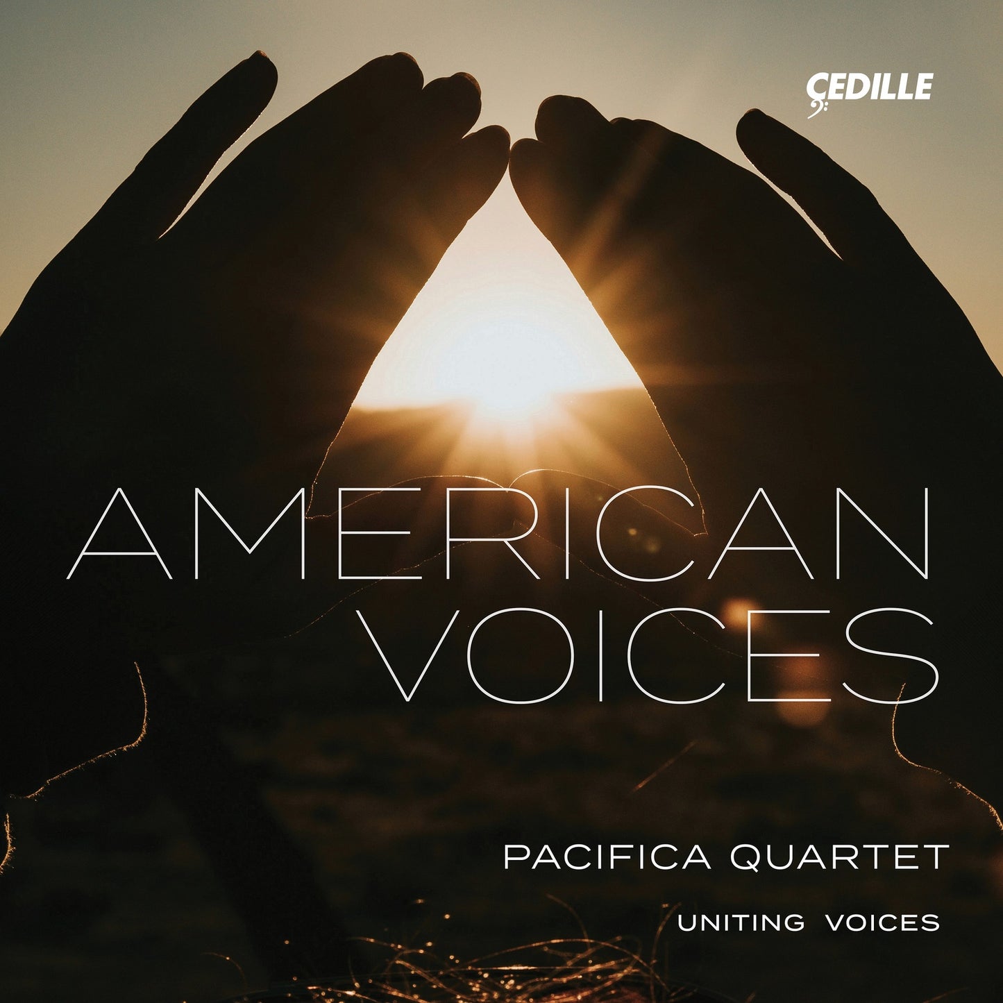 Pacifica Quartet/lee - Dvorak/price - Ameri [CD]