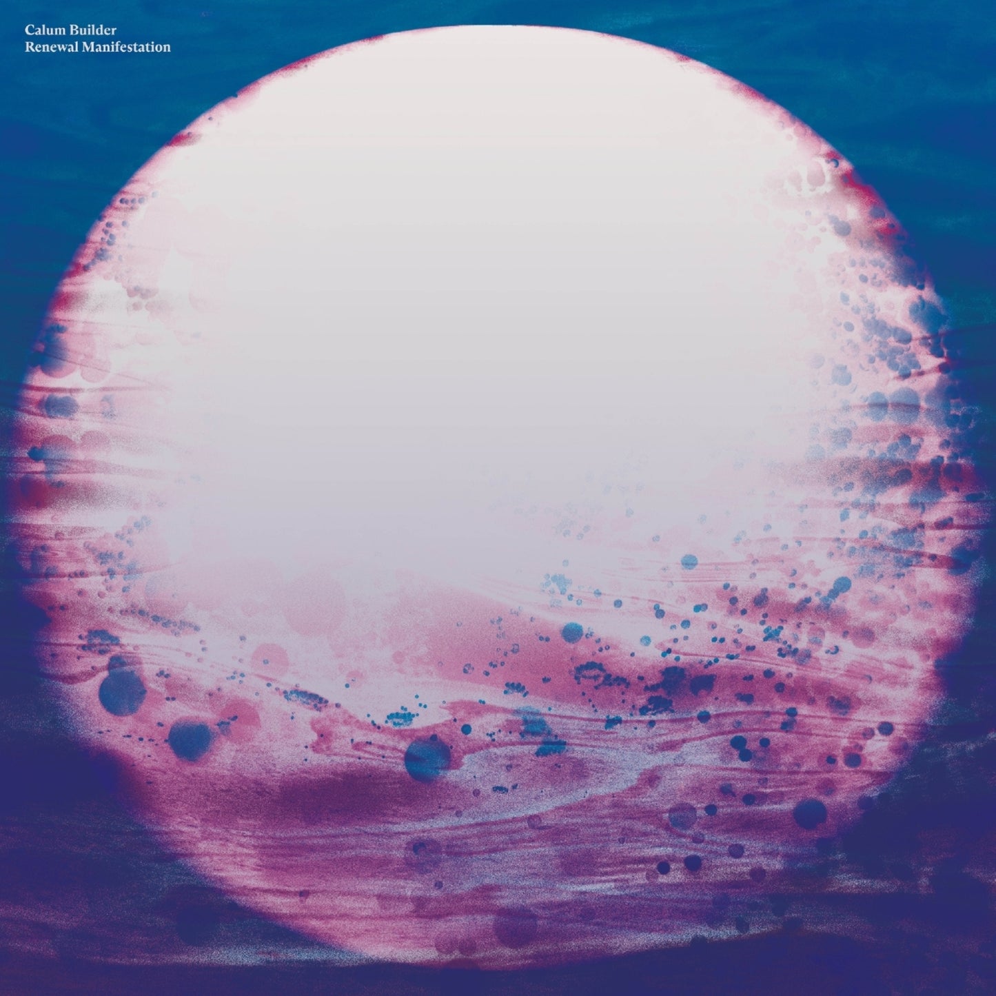 Builder/hvidtfelt Nielsen - Renewal Manifestation [VINYL]
