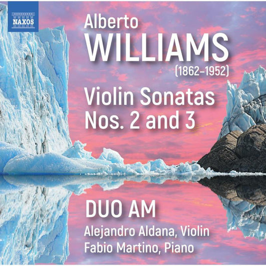 Duo Am - Williams - Vln Sonatas 2 And 3 [CD]