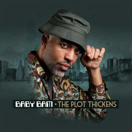 Baby Bam - The Plot Thickens [VINYL]