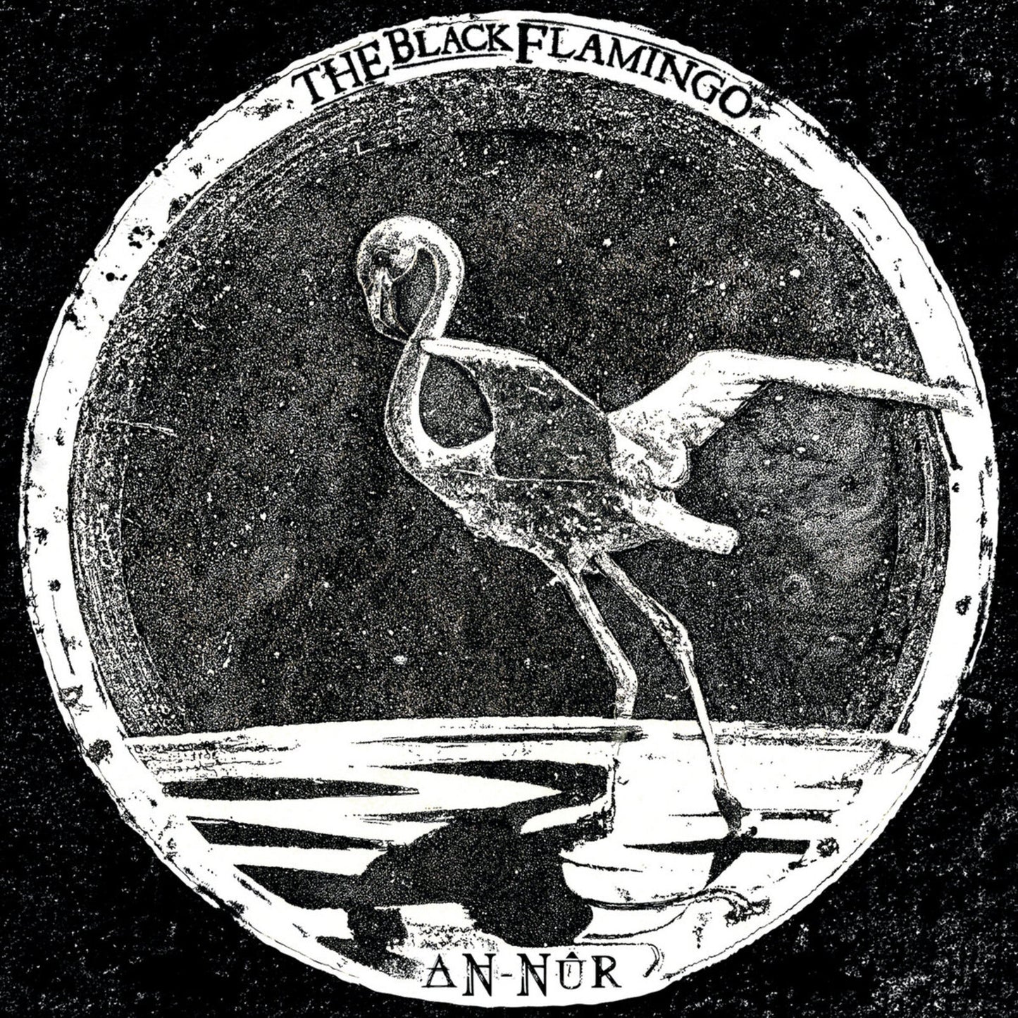The Black Flamingo - An-nur [VINYL]
