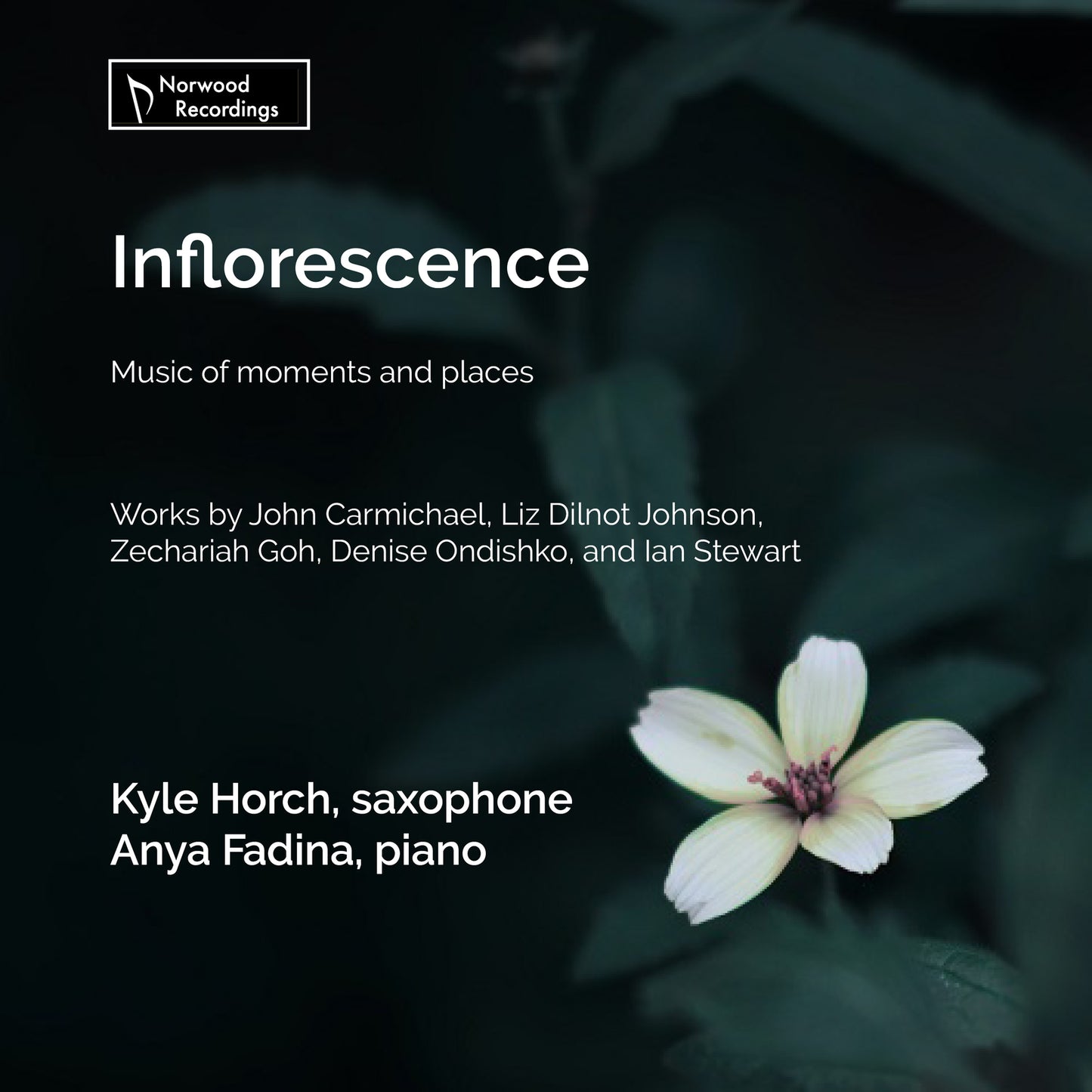 Kyle Horch/anya Fadina - Inflorescence - Music Moments [CD]