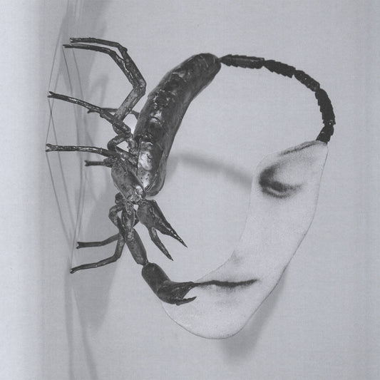 Tortoise - Touch [CD]