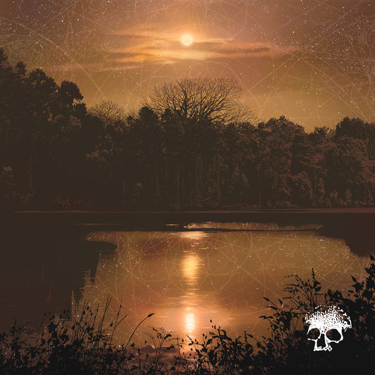 Planes Mistaken For Stars - Do You Still Love Me? [CD]