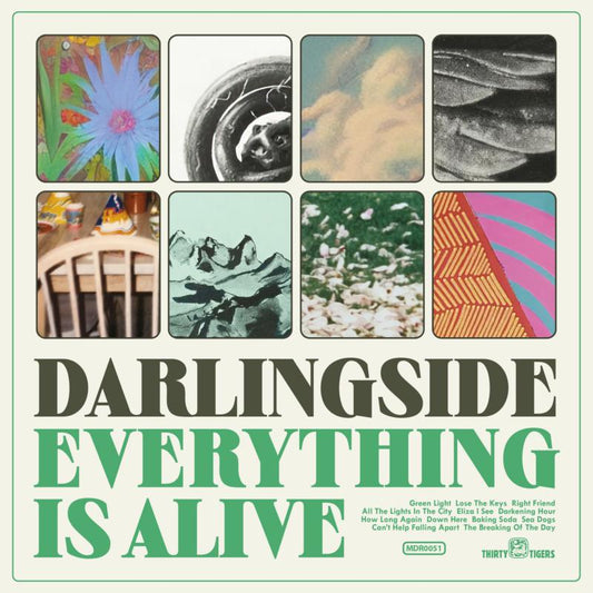 Darlingside - Everything Is Alive [CD]