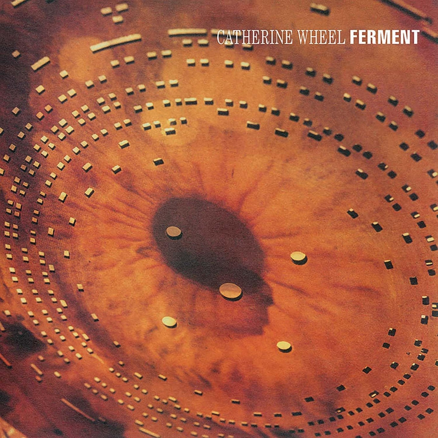 Ferment [VINYL]
