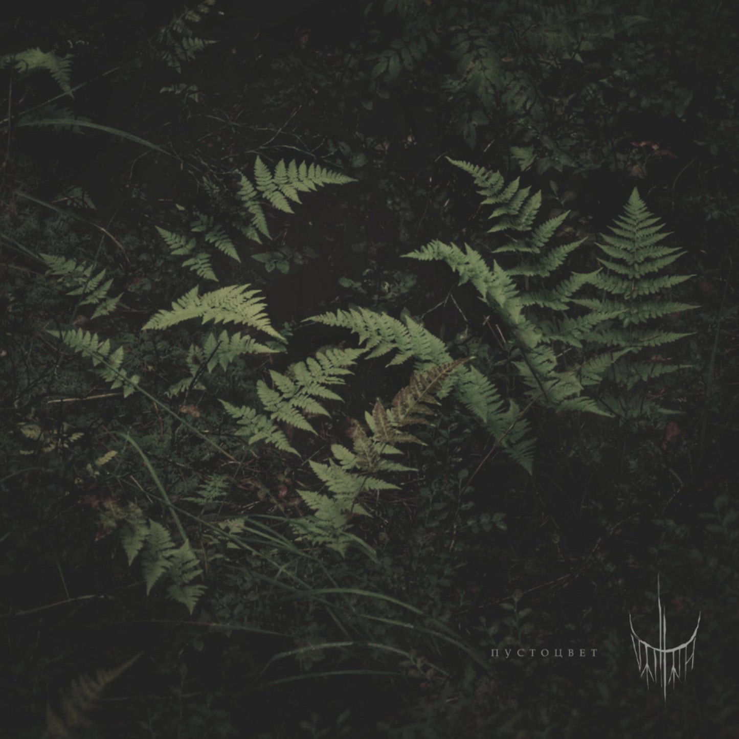 Varhara - Pustotsvet ( Voidflower) [CD]