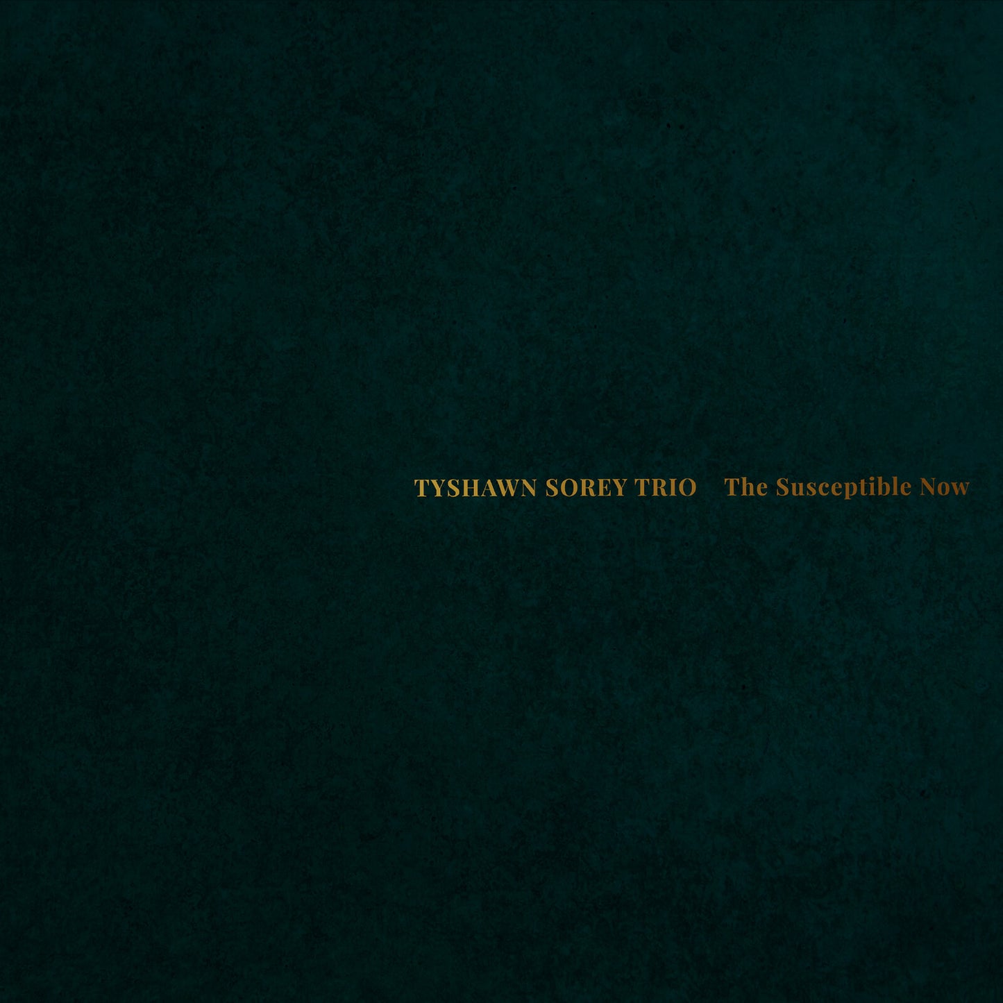 Tyshawn Sorey - The Susceptible Now [VINYL]