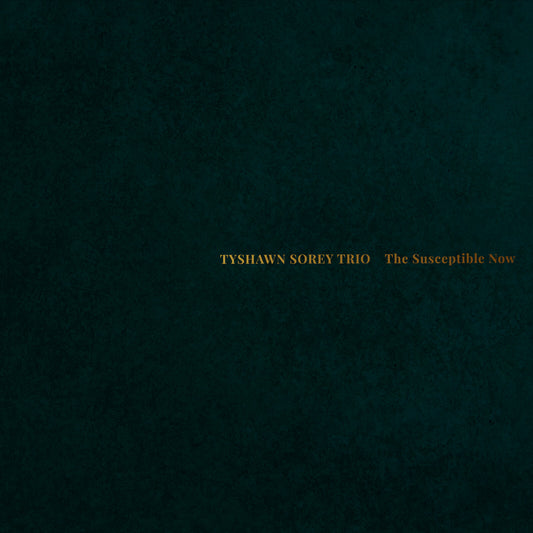 Tyshawn Sorey - The Susceptible Now [CD]